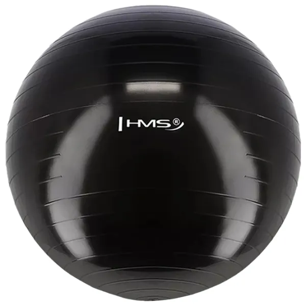 Фитбол HMS YB01 55 см/ Black photo 2