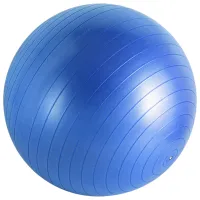 Fitball HMS YB01 55 cm/ Blue photo 2