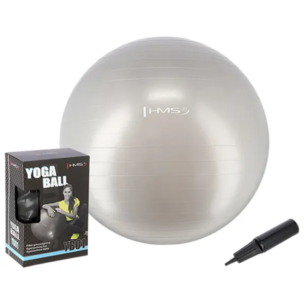 Fitball HMS YB01 65 cm/ Gray photo 1 Fitball HMS YB01 65 cm/ Gray photo 1