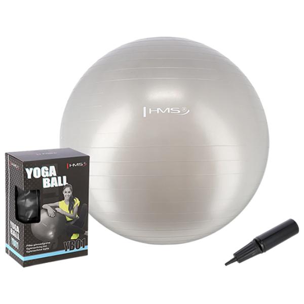 Fitball HMS YB01 65 cm/ Gray photo 1 Fitball HMS YB01 65 cm/ Gray photo 1