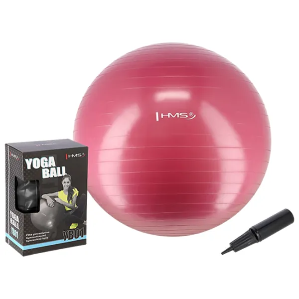 Fitball HMS YB01 65 cm/ Plum photo 1