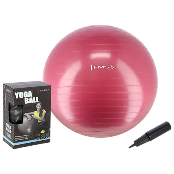 Fitball HMS YB01 65 cm/ Plum photo 1