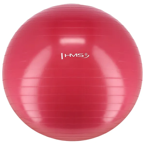 Fitball HMS YB01 65 cm/ Plum photo 2