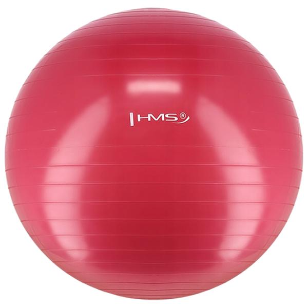 Fitball HMS YB01 65 cm/ Plum photo 2