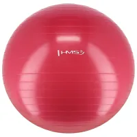 Fitball HMS YB01 65 cm/ Plum photo 2