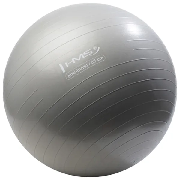 Fitball HMS YB02 55 cm/ Orange photo 2