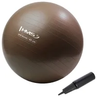Fitball HMS YB02 65 cm/ Brown