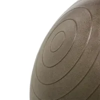 Fitball HMS YB02 65 cm/ Brown photo 4