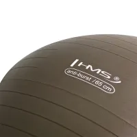 Fitball HMS YB02 65 cm/ Brown photo 5