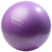 Fitball HMS YB02 65 cm/ Purple photo 2