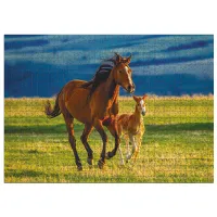 Puzzle 2D DoDo Învățarea mânzului 8+/ Numărul de piese: 1000 photo 2