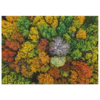 Puzzle 2D DoDo Satul Dzembronya, Ucraina 8+/ Numărul de piese: 1000 photo 2