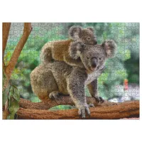 Puzzle 2D DoDo Baby koala și mama 8+/ Numărul de piese: 1000 photo 2