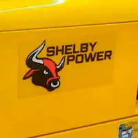 Generator de curent Fujian Everstrong SPD6500S 220 V Motorină / 5 kW photo 7