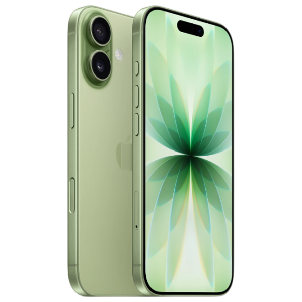 Apple iPhone 17 8 GB/ 256 GB/ Single SIM/ Green Sage photo 3