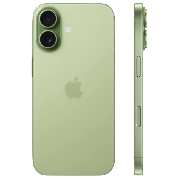 Apple iPhone 17 8 GB/ 256 GB/ Single SIM/ Green Sage photo 4