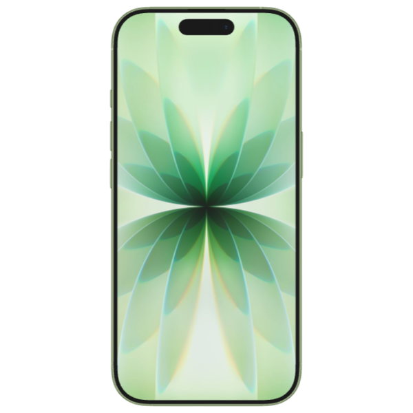 Apple iPhone 17 8 GB/ 512 GB/ Single SIM/ Green Sage photo 5