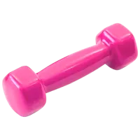 Ganteră Arena Sport А801  1 kg / Cantitatea în set - 1