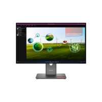 Monitor Lenovo ThinkVision P27Q-40 27" 2K 120 Hz / 4 ms / Black