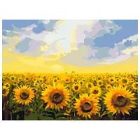 Картина по номерам BrushMe Поле подсолнечников RBS135FC 40 x 30 cm / Горизонтальная