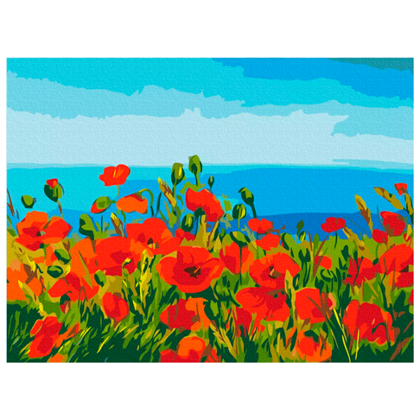 Pictură pe numere BrushMe Câmp de maci, Claude Monet RBS1005FC 40 x 30 cm / Orizontală photo 1