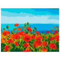 Pictură pe numere BrushMe Câmp de maci, Claude Monet RBS1005FC 40 x 30 cm / Orizontală