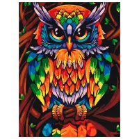 Pictură pe numere BrushMe Bufnița înțeleaptă a curcubeului RBS52241FC 40 x 30 cm / Verticală
