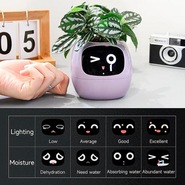 Ghiveci pentru flori Cute Pet Indoor Ivy Smart Green / Plastic / Pe pervaz photo 2
