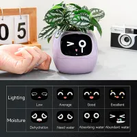 Ghiveci pentru flori Cute Pet Indoor Ivy Smart Green / Plastic / Pe pervaz photo 2