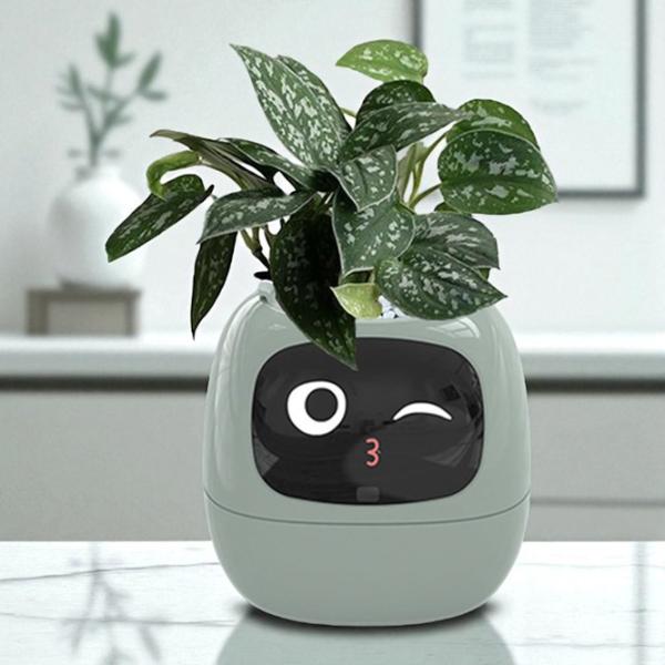 Ghiveci pentru flori Cute Pet Indoor Ivy Smart Green / Plastic / Pe pervaz photo 8