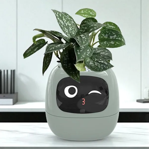 Ghiveci pentru flori Cute Pet Indoor Ivy Smart Green / Plastic / Pe pervaz photo 9