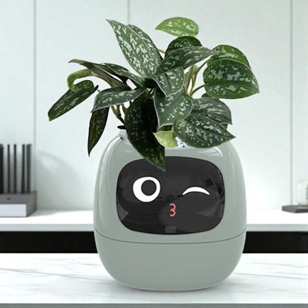 Ghiveci pentru flori Cute Pet Indoor Ivy Smart Green / Plastic / Pe pervaz photo 9