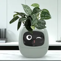 Ghiveci pentru flori Cute Pet Indoor Ivy Smart Green / Plastic / Pe pervaz photo 9
