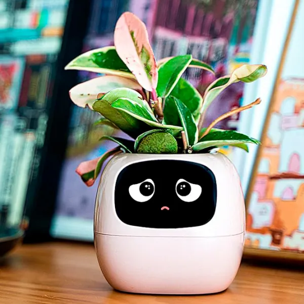 Ghiveci pentru flori Cute Pet Indoor Ivy Smart Pink / Plastic / Pe pervaz photo 9
