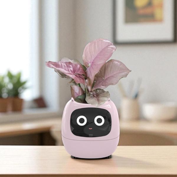 Ghiveci pentru flori Cute Pet Indoor Ivy Smart Pink / Plastic / Pe pervaz photo 10
