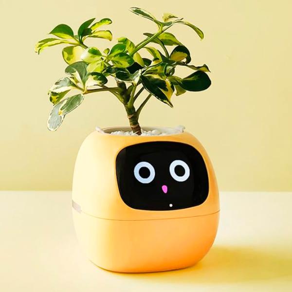 Ghiveci pentru flori Cute Pet Indoor Ivy Smart Yellow / Plastic / Pe pervaz photo 9