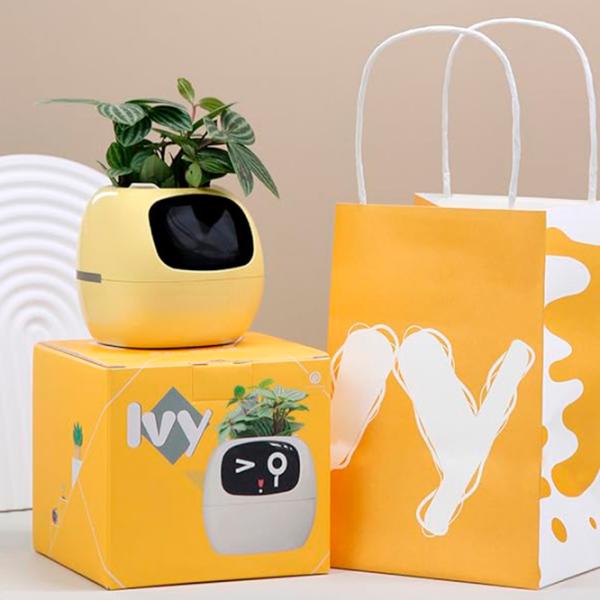 Ghiveci pentru flori Cute Pet Indoor Ivy Smart Yellow / Plastic / Pe pervaz photo 10