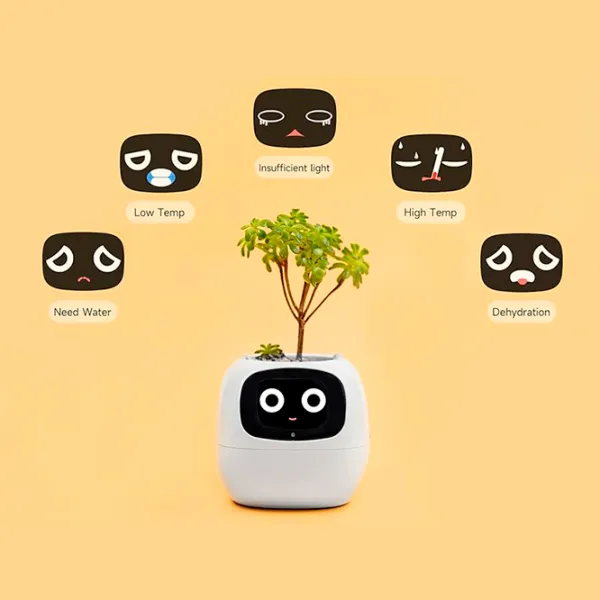 Ghiveci pentru flori Cute Pet Indoor Ivy Smart Yellow / Plastic / Pe pervaz photo 12