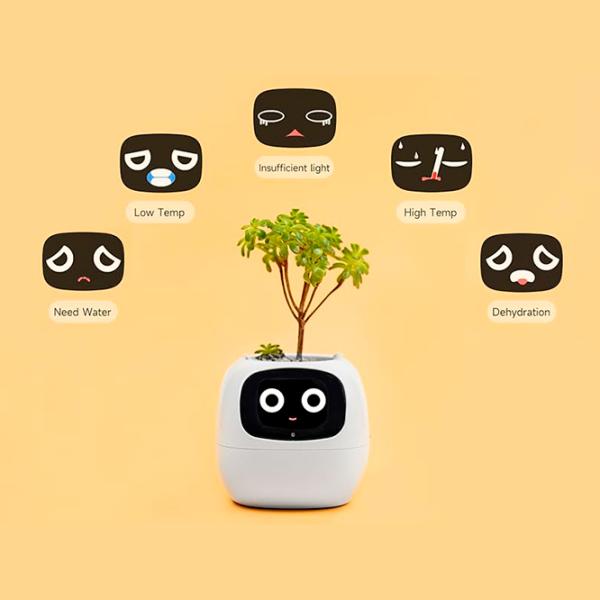 Ghiveci pentru flori Cute Pet Indoor Ivy Smart Yellow / Plastic / Pe pervaz photo 12