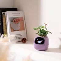 Горшок для цветов Cute Pet Indoor Ivy Smart Пурпурный / Пластик / На подоконник photo 5