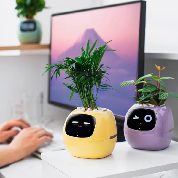 Ghiveci pentru flori Cute Pet Indoor Ivy Smart Purple / Plastic / Pe pervaz photo 7