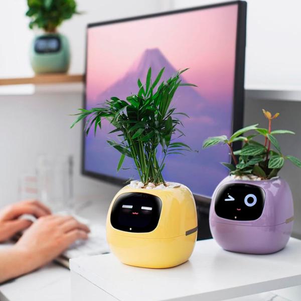 Ghiveci pentru flori Cute Pet Indoor Ivy Smart Purple / Plastic / Pe pervaz photo 7