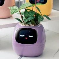 Горшок для цветов Cute Pet Indoor Ivy Smart Пурпурный / Пластик / На подоконник photo 9