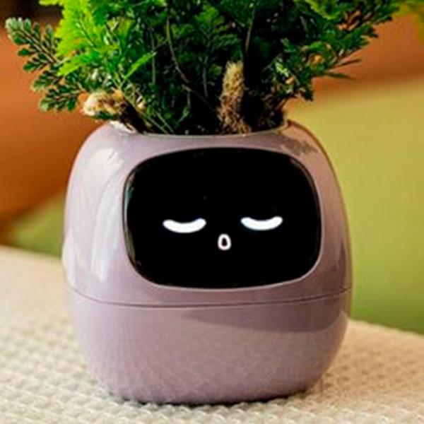 Ghiveci pentru flori Cute Pet Indoor Ivy Smart Purple / Plastic / Pe pervaz photo 11