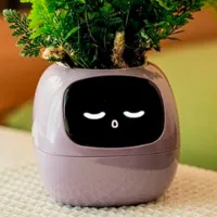 Горшок для цветов Cute Pet Indoor Ivy Smart Пурпурный / Пластик / На подоконник photo 11