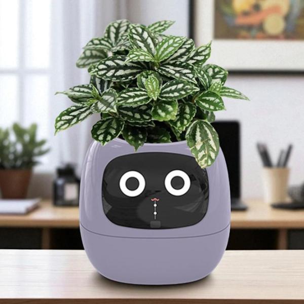 Ghiveci pentru flori Cute Pet Indoor Ivy Smart Purple / Plastic / Pe pervaz photo 13