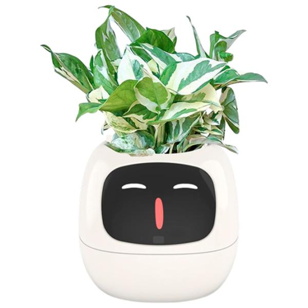 Ghiveci pentru flori Cute Pet Indoor Ivy Smart White / Plastic / Pe pervaz photo 6
