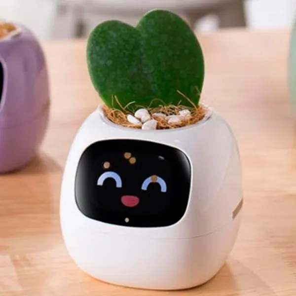 Ghiveci pentru flori Cute Pet Indoor Ivy Smart White / Plastic / Pe pervaz photo 7