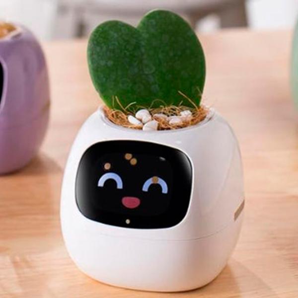Ghiveci pentru flori Cute Pet Indoor Ivy Smart White / Plastic / Pe pervaz photo 7