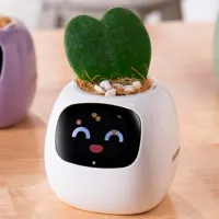 Ghiveci pentru flori Cute Pet Indoor Ivy Smart White / Plastic / Pe pervaz photo 7